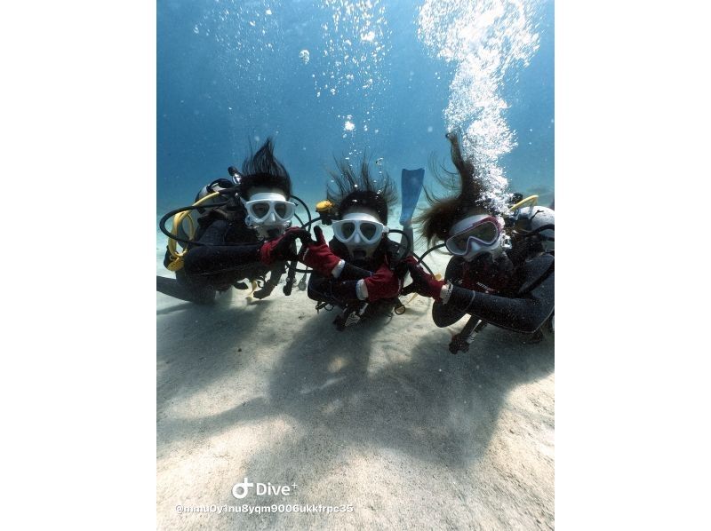 【宜野湾発・慶良間諸島】ウミガメ探しの体験ダイビング⭐️2ダイブ⭐️写真、動画プレゼント⭐️一日コースの紹介画像