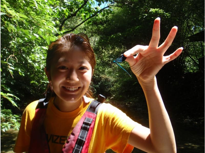 [沖繩國頭郡]1天課程：紅樹林獨木舟＆溯溪の紹介画像