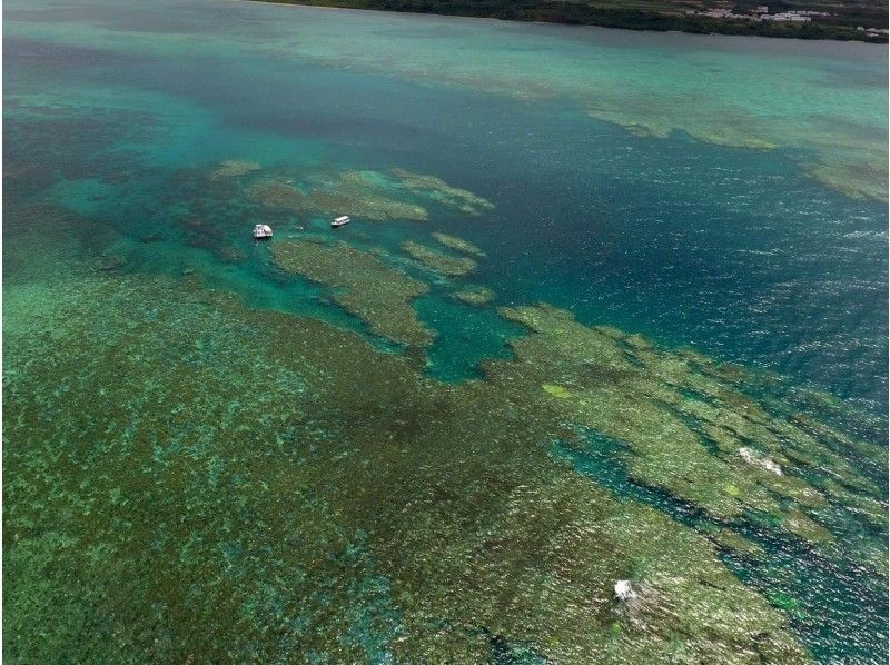 【沖縄・小浜島】世界自然遺産候補地！西表島近海での2ポイントシュノーケル（半日プラン）の紹介画像