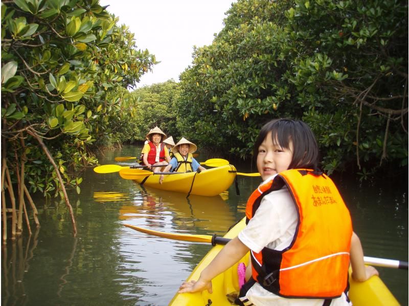 【 冲绳 ·国头郡】红树林·独木舟和丛林探险の紹介画像