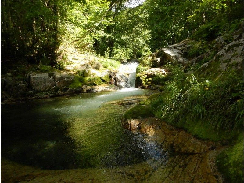 [Gunma / Minakami] Elementary school students welcome! Enjoy water play with the "Canyoning Half-Day Course" and have fun with natural water slides!の紹介画像