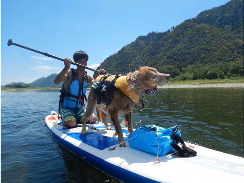 【岐阜・長良川】岐阜城・金華山＆清流長良川サップツアー！！(お手軽2時間コース)の紹介画像