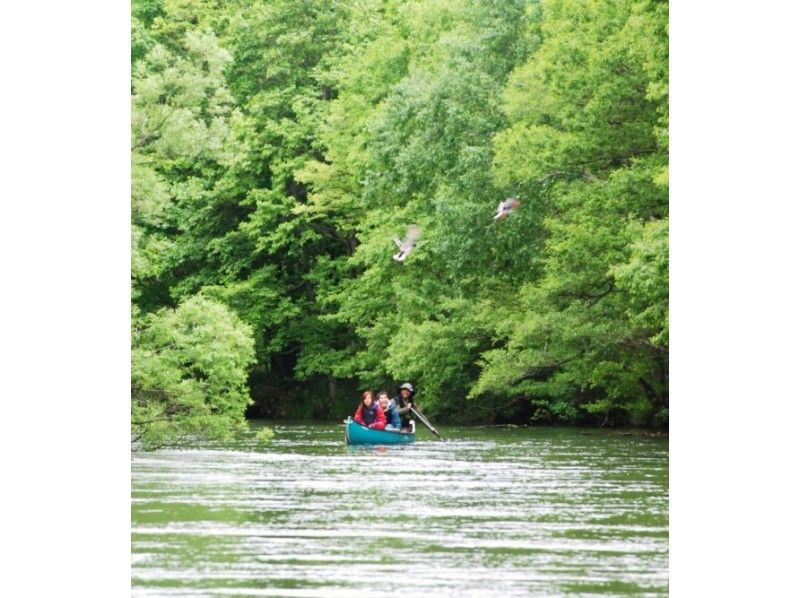[北海道，屈斜路]孩子们也可以享受！ s路川源头水边生物搜索和独木舟之旅♪有下午茶时间の紹介画像