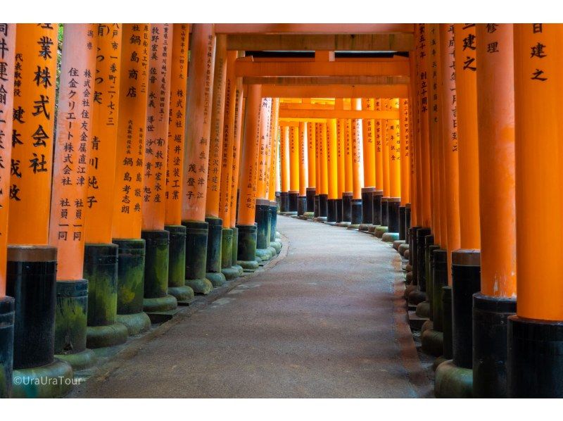 "Super Summer Sale in progress" [Fushimi Inari Taisha Shrine, which I intend to know ♪ The second story "Mountain Tour"] Inari-sama's truth and wonder ~の紹介画像