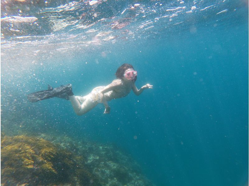 【大阪・梅田発着】透明度抜群！日本海若狭湾でのスキンダイビング ・フリーダイビング！梅田からの往復送迎プランの紹介画像