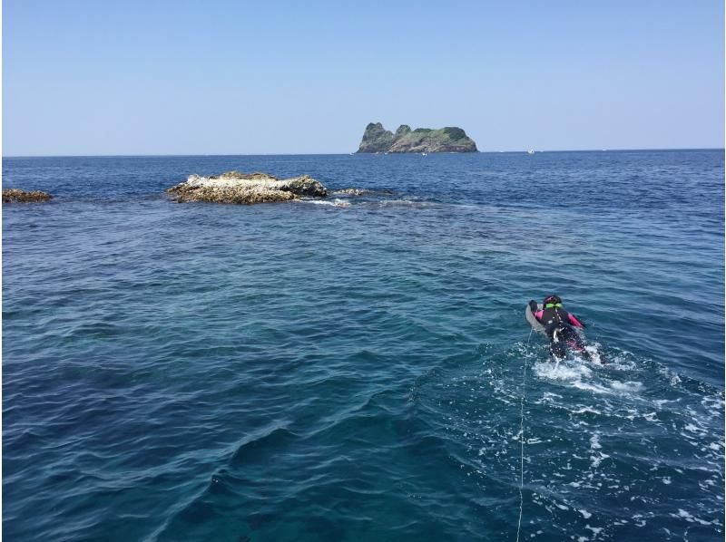 【大阪・梅田発着】透明度抜群！日本海若狭湾でのスキンダイビング ・フリーダイビング！梅田からの往復送迎プランの紹介画像