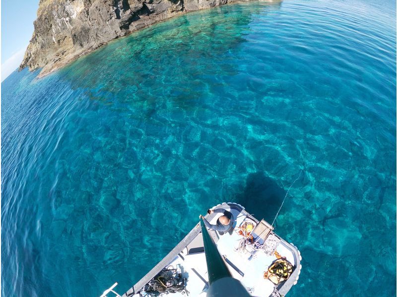 【大阪・梅田発着】透明度抜群！日本海若狭湾でのスキンダイビング ・フリーダイビング！梅田からの往復送迎プランの紹介画像