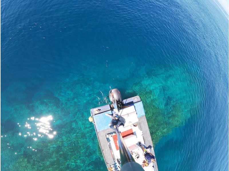 【大阪・梅田発着】透明度抜群！日本海若狭湾でのスキンダイビング ・フリーダイビング！梅田からの往復送迎プランの紹介画像
