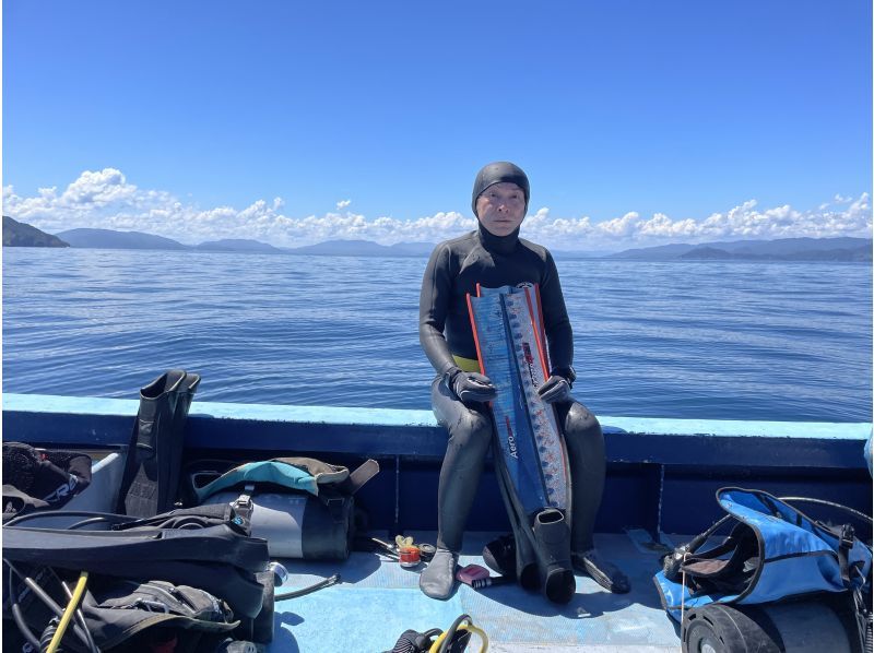 【大阪・梅田発着】透明度抜群！日本海若狭湾でのスキンダイビング ・フリーダイビング！梅田からの往復送迎プランの紹介画像