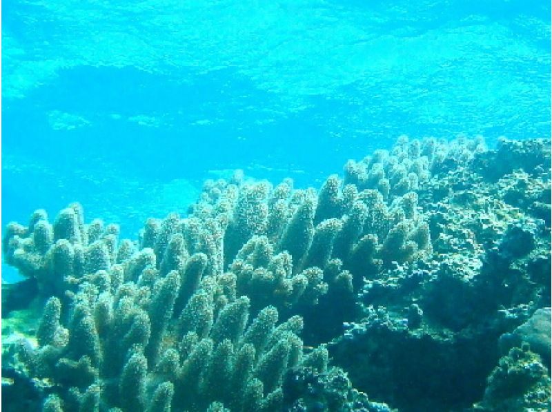 [沖繩島瀨底小船浮潛※9〜16點※[浮潛]の紹介画像