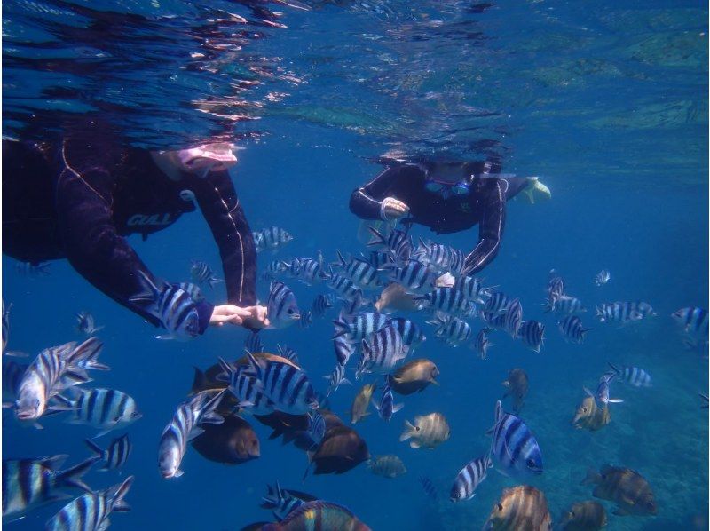 [Okinawa Sesoko Island] enjoy the sea! Para Bana Gerhard course [parasailing and banana boat & Snorkeling]の紹介画像
