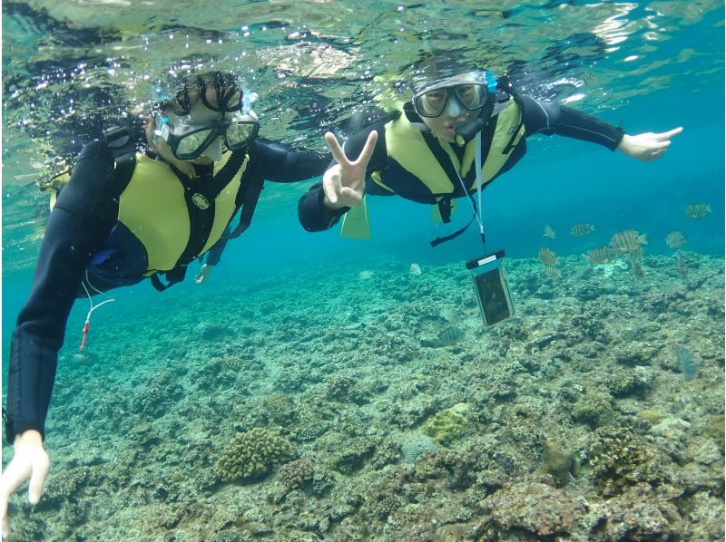 ☆Certified dive shop that is environmentally friendly according to international standards☆ [Tropical fish paradise] Coral reef snorkeling by boat ♪ [Same-day reservations accepted! ]の紹介画像