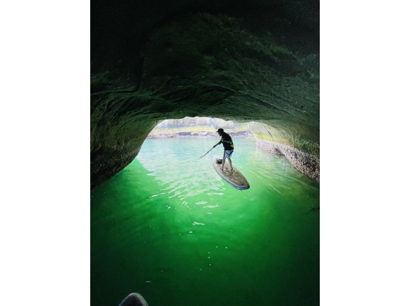 [Miyagi ・ Matsushima]Miyagi Matsushima empty-handed green cave sap tour photo free gift!の紹介画像