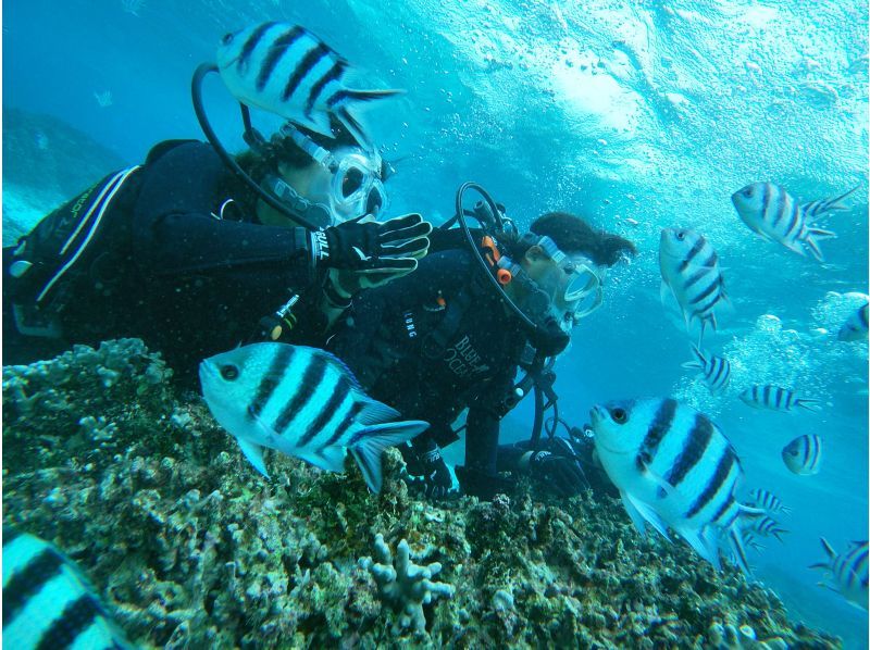 [Okinawa Onna Village] Enjoy from age 8 - Sea Walk & Blue Cave Boat Diving Experience with Camera & Towel Rentalの紹介画像