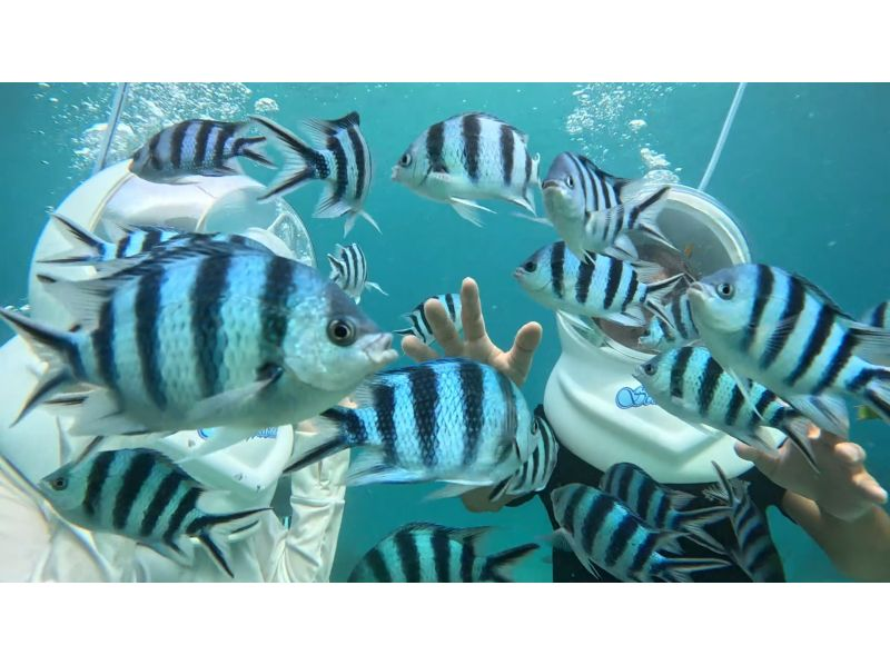 [Okinawa Onna Village] Enjoy from age 8 - Sea Walk & Blue Cave Boat Diving Experience with Camera & Towel Rentalの紹介画像