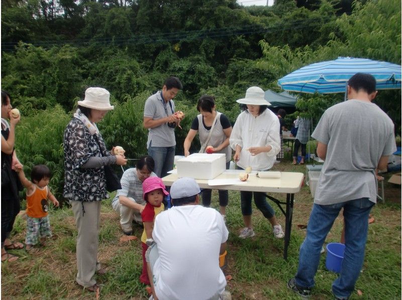 山梨県 山梨市 桃狩りもぎ取り 30分食べ放題 冷し桃も 日本一の桃の産地でこだわり栽培 アクティビティジャパン