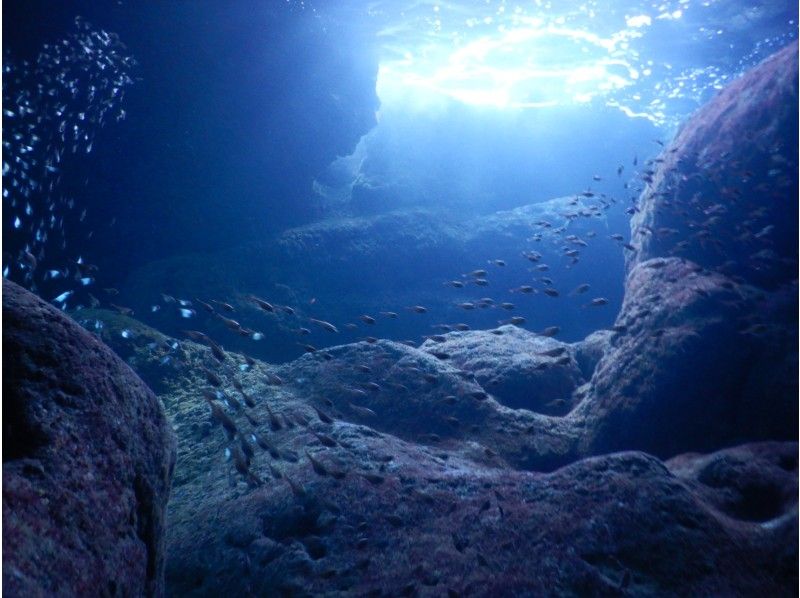【伊良部島】青の洞窟&お魚探検ダブルツアー☆神秘的な青の洞窟とお魚で感動間違いなし！の紹介画像