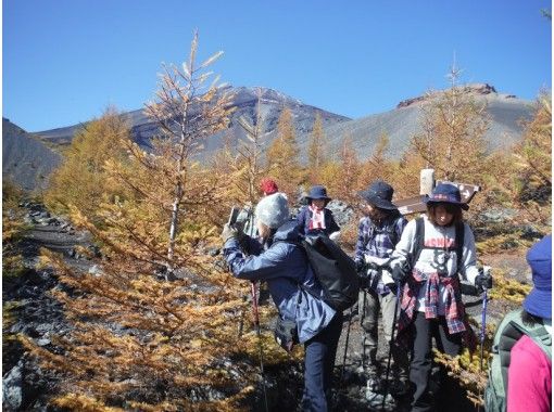 静岡 富士宮 御殿場 登らなくても富士山を満喫 富士下山 宝永火口ダウンヒルツアー アクティビティジャパン