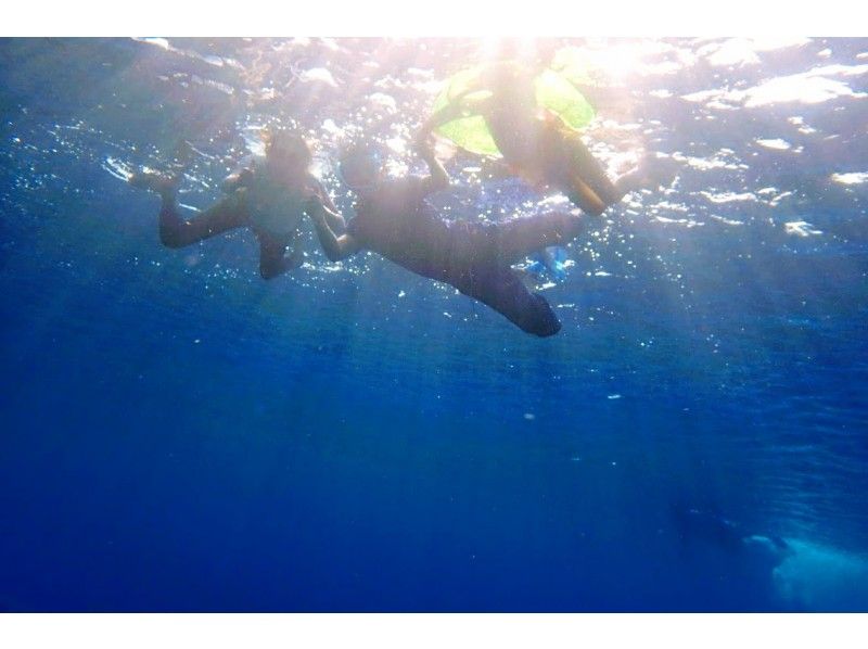 【鹿児島・沖永良部島】「遭遇率99%！秘密のポイントでウミガメと一緒に泳ぐ」シュノーケリングツアーの紹介画像