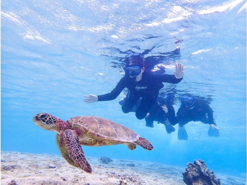 [Miyakojima/1 day] Sea turtle snorkeling & SUP/Canoe★Miyakojima basic 1 day plan [Regional coupon applicable] Autumn sale underway!の紹介画像