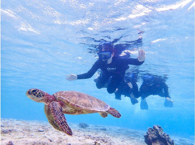 [Miyakojima/1 day] Free photo data and island transfers! Sea turtle snorkeling & SUP/canoeing ★ Miyakojima basic 1-day plan [student discount plan]の紹介画像