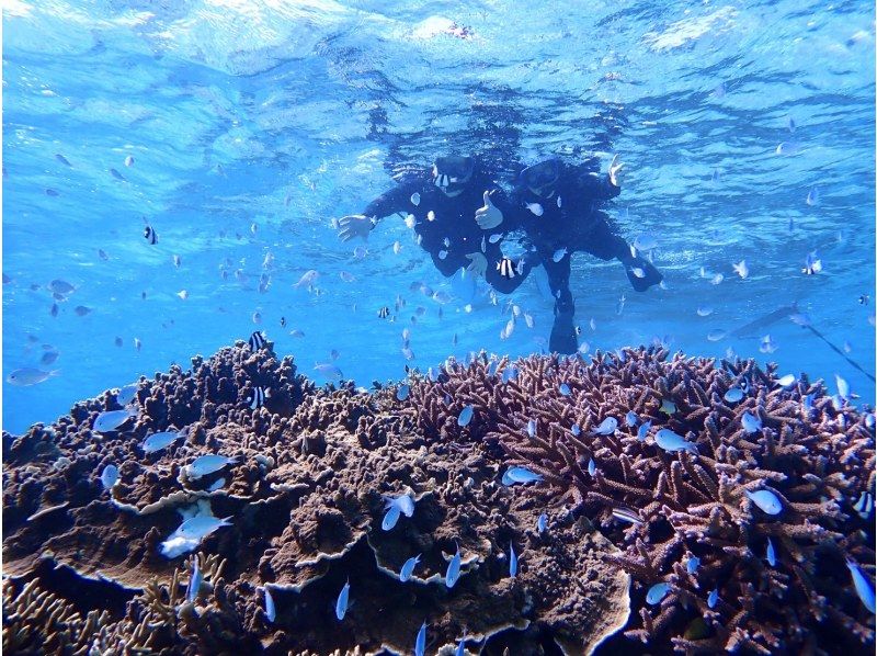 [宮古島/1天]照片資料和免費島上交通！海龜浮潛＆SUP/獨木舟★宮古島基本1日計劃の紹介画像