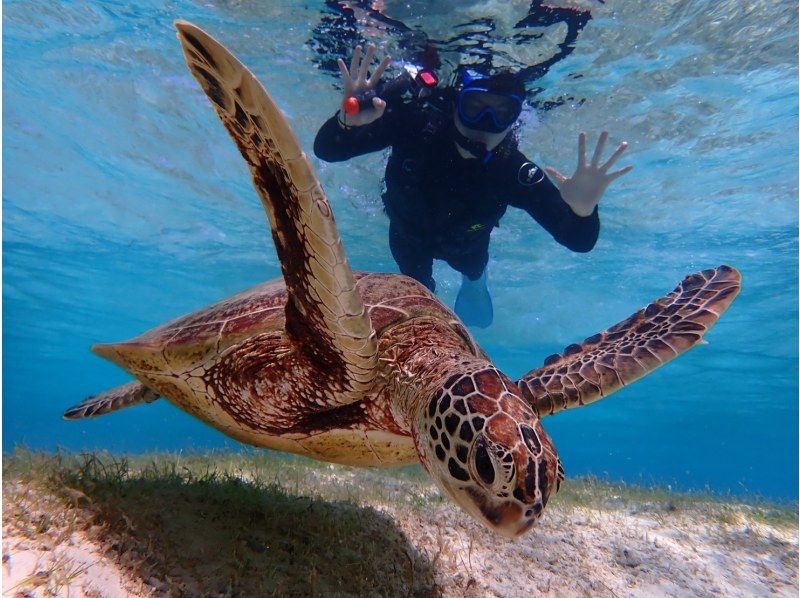 [Miyakojima/1 day] Free photo data and island transfers! Sea turtle snorkeling & SUP/canoeing ★ Miyakojima basic 1-day plan [student discount plan]の紹介画像