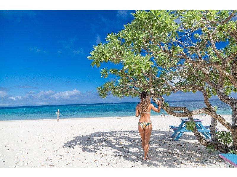 [Miyakojima/1 day] Sea turtle snorkeling & SUP/Canoe★Miyakojima basic 1 day plan [Regional coupon applicable] Autumn sale underway!の紹介画像