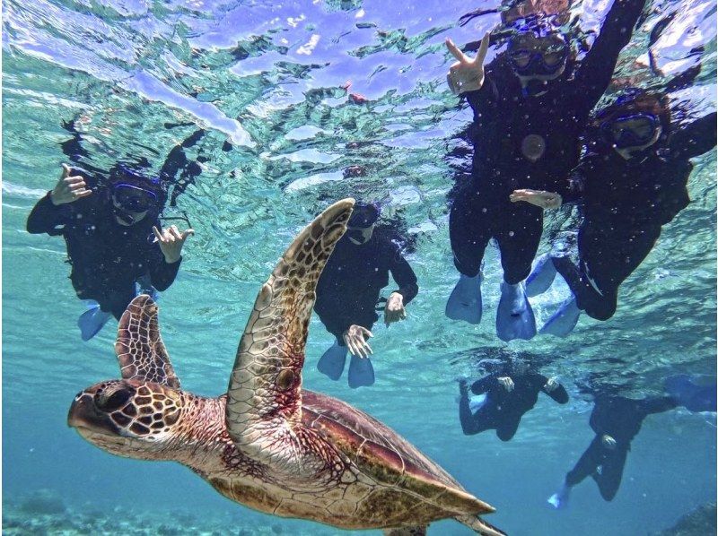 [Miyakojima/1 day] Free photo data and island transfers! Sea turtle snorkeling & SUP/canoeing ★ Miyakojima basic 1-day plan [student discount plan]の紹介画像