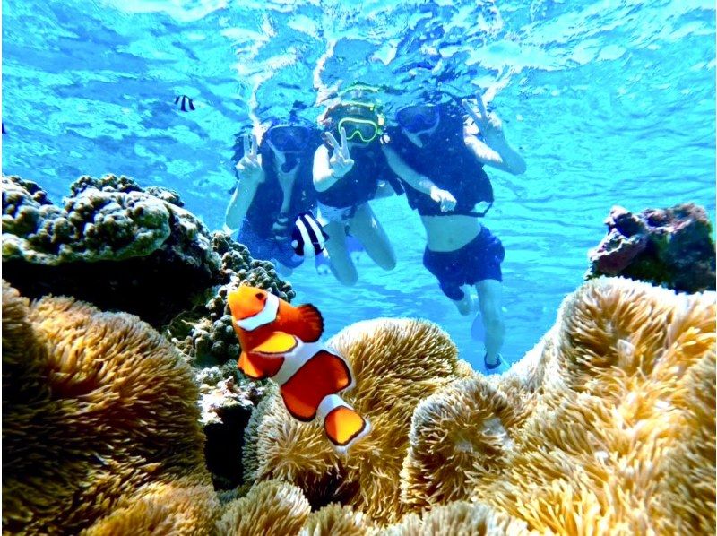 【宮古島/半日遊】排名第一的熱門預訂！ ★提供接送服務！海龜浮潛★高機率偶遇海龜★優質服務★免費拍照及設備租賃の紹介画像