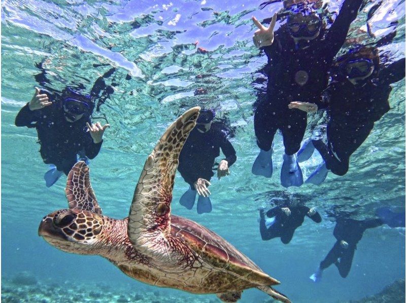 [Miyakojima/Half-day] Overwhelmingly high-quality service! Sea turtle snorkeling ★ High chance of encountering ★ Free photo data! Pick-up and drop-off negotiable! Super Summer Sale 2024の紹介画像