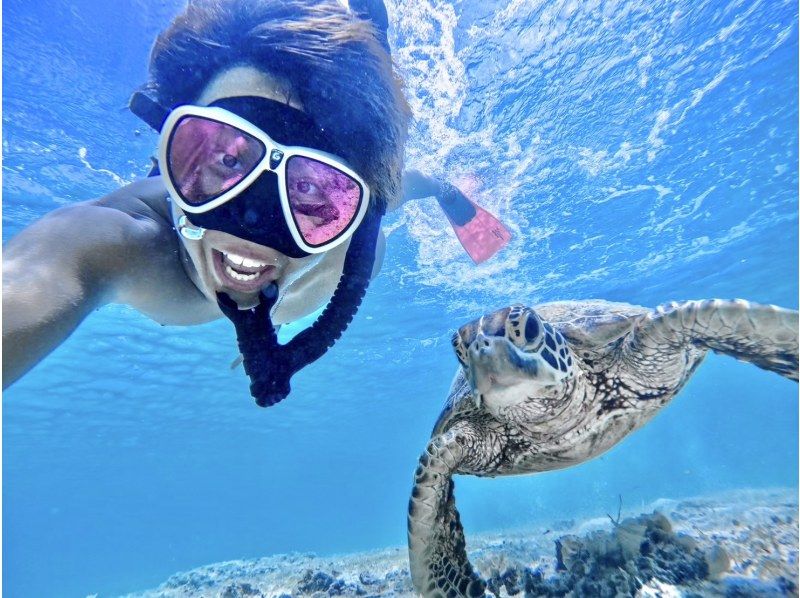 SALE! [Miyakojima/half day] Pick-up and drop-off available! Sea turtle snorkeling ★ High chance of encountering ★ Overwhelmingly high quality service ★ Free photo dataの紹介画像