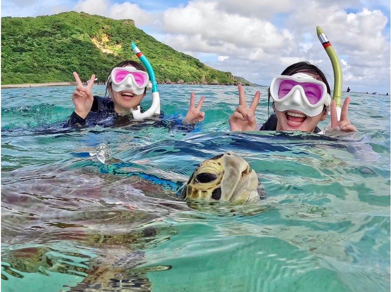 [Miyakojima/Half-day] Overwhelmingly high-quality service! Sea turtle snorkeling ★ High chance of encountering ★ Free photo data! Pick-up and drop-off negotiable! Super Summer Sale 2024の紹介画像