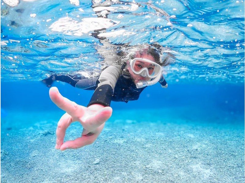 【宫古岛/半日游】排名第一的热门预订！★提供接送服务！海龟浮潜★高概率偶遇海龟★优质服务★免费拍照及设备租赁の紹介画像