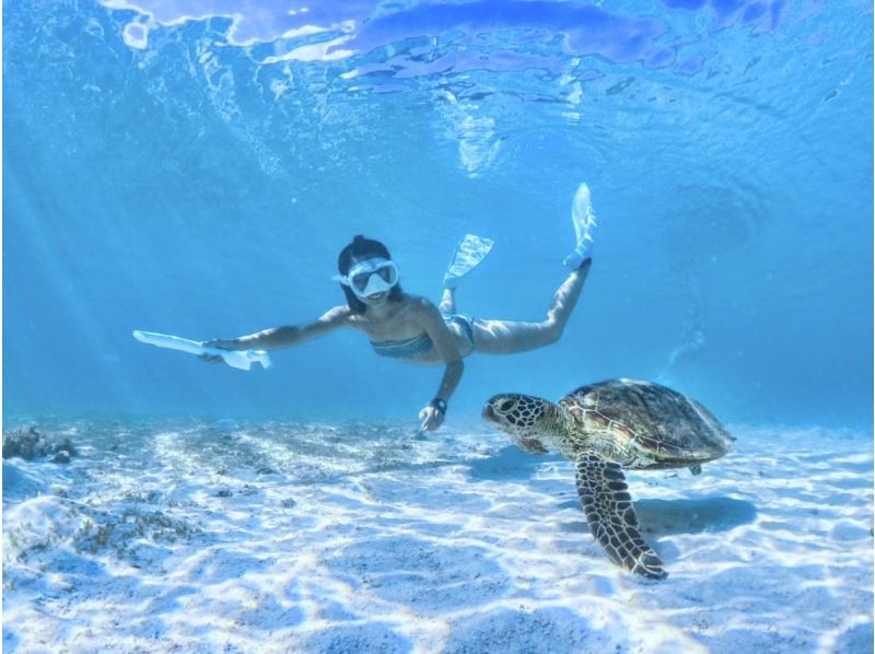 SALE! [Miyakojima/half day] Pick-up and drop-off available! Sea turtle snorkeling ★ High chance of encountering ★ Overwhelmingly high quality service ★ Free photo dataの紹介画像