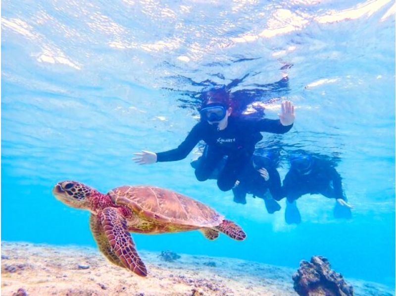 SALE! [Miyakojima/half day] Pick-up and drop-off available! Sea turtle snorkeling ★ High chance of encountering ★ Overwhelmingly high quality service ★ Free photo dataの紹介画像