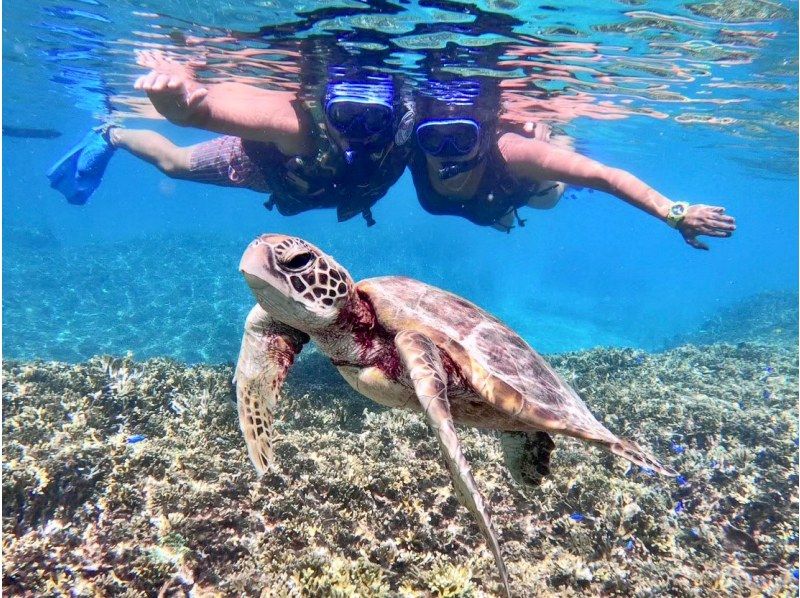 SALE! [Miyakojima/half day] Pick-up and drop-off available! Sea turtle snorkeling ★ High chance of encountering ★ Overwhelmingly high quality service ★ Free photo dataの紹介画像