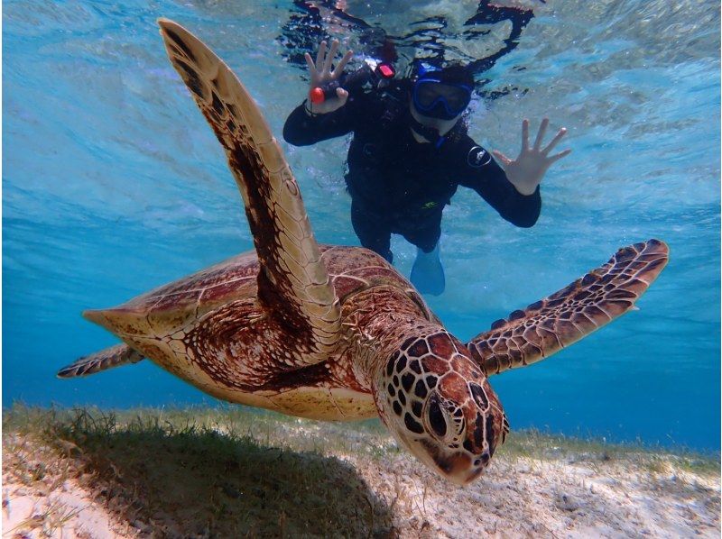 [Miyakojima/1 day] Island Enjoyment Set (Sea Turtle Snorkeling & Pumpkin Cave & Sea Kayaking) ★ Pick-up and drop-off OK! Free photos! SALE!の紹介画像