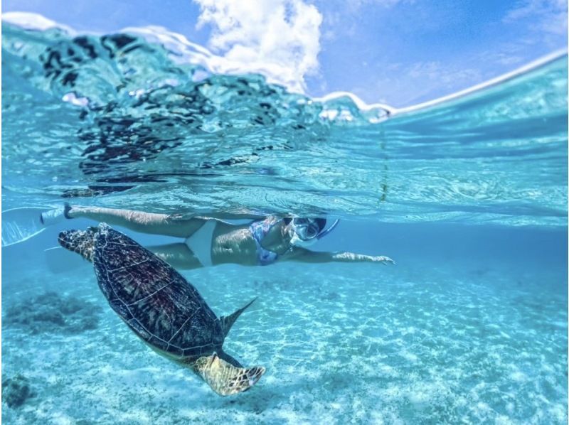 [Miyakojima/1 day] Island Enjoyment Set (Sea Turtle Snorkeling & Pumpkin Cave & Sea Kayaking) ★ Pick-up and drop-off OK! Free photos [Student Discount Plan]の紹介画像