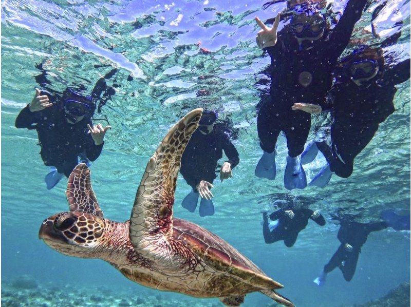 [Miyakojima/1 day] Island Enjoyment Set (Sea Turtle Snorkeling & Pumpkin Cave & Sea Kayaking) ★ Pick-up and drop-off OK! Free photos [Student Discount Plan]の紹介画像