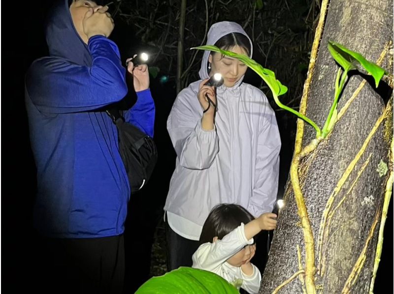 銷售！ [宮古島/夜]星空&叢林夜遊★天然天文館x稀有熱帶生物★當日申請OK★の紹介画像