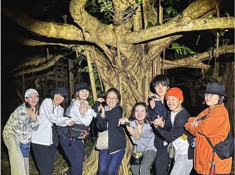 [Miyakojima/Night] Starry sky & jungle night tour ★ Natural planetarium × rare tropical creatures ★ Same-day application OK! [Student discount plan]の紹介画像