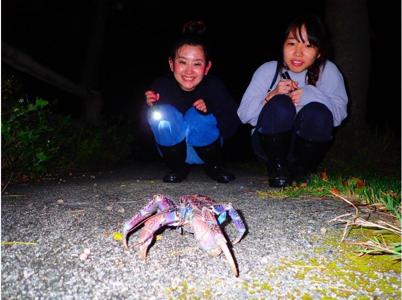 [Miyakojima/Night] Starry sky & jungle night tour ★ Natural planetarium × rare tropical creatures ★ Same-day application OK! [Student discount plan]の紹介画像