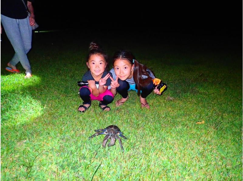 【宮古島/夜】星空&叢林夜遊★天然天文館x珍稀熱帶生物★當天申請！の紹介画像