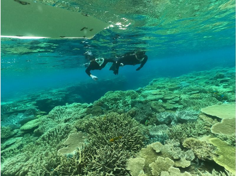 「슈퍼 서머 세일 2024」【오키나와・미즈나지마・세소지마】 보트 스노클링(2라운드) 사진 동영상 촬영 선물の紹介画像