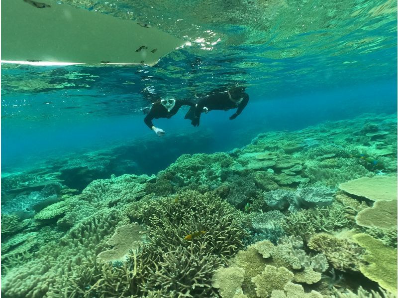 【沖縄・水納島・瀬底島】　ボートスノーケリング（２ラウンド）写真動画撮影プレゼントの紹介画像