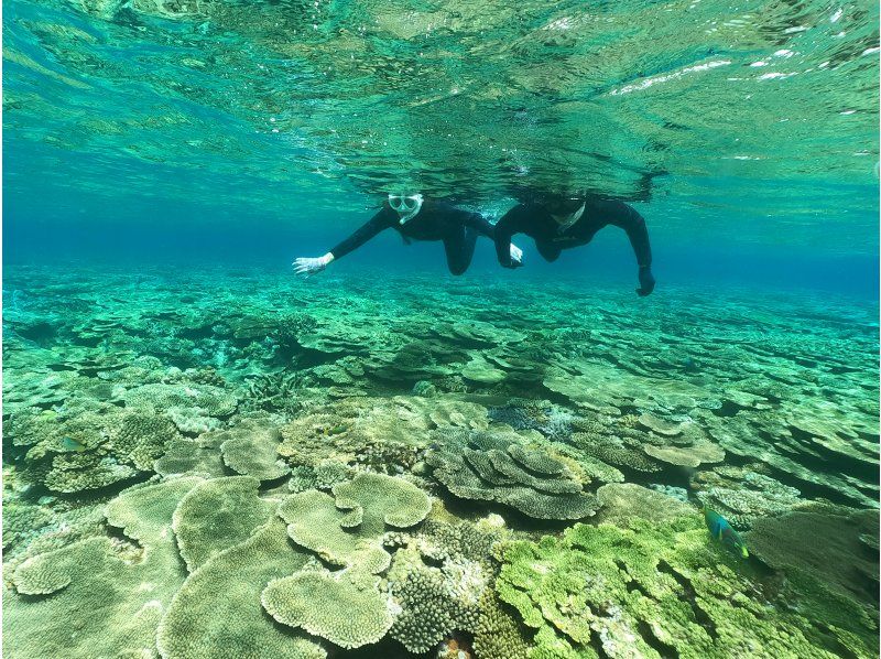 【沖縄・水納島・瀬底島】　ボートスノーケリング（２ラウンド）写真動画撮影プレゼントの紹介画像