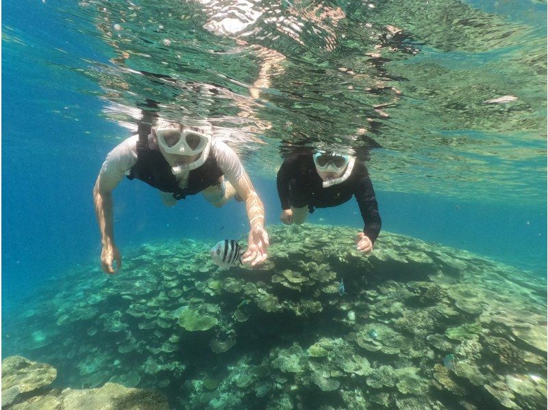 「슈퍼 서머 세일 2024」【오키나와・미즈나지마・세소지마】 보트 스노클링(2라운드) 사진 동영상 촬영 선물の紹介画像