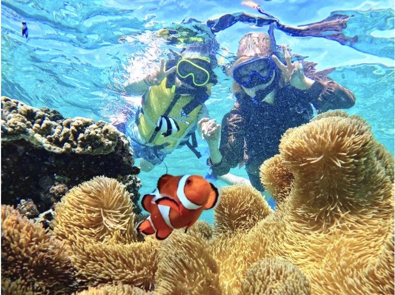 SALE! [Miyakojima/Half-day] Miyakojima Tropical Snorkeling ★ Natural Aquarium Experience ★ Free photo data/equipment rental! Pick-up and drop-off consultation OK!の紹介画像