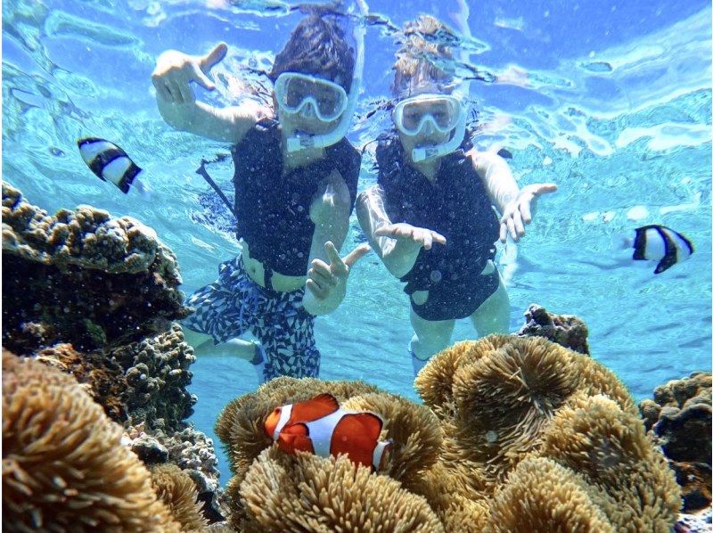 【宫古岛/半天】宫古岛热带浮潜★天然水族馆体验★照片资料/设备租赁免费！交通咨询OK！の紹介画像